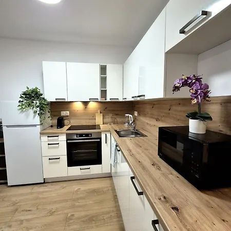 Krasny V Ruzinove Apartment