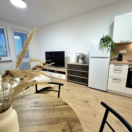 Apartment Krasny V Ruzinove