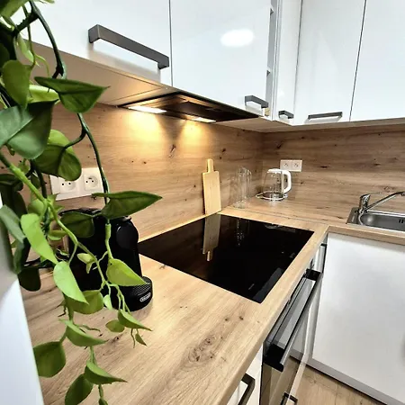 Apartment Krasny V Ruzinove